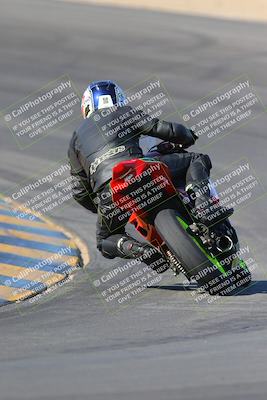 media/Nov-12-2023-SoCal Trackdays (Sun) [[5d1fba4e7d]]/Turn 10 Backside (115pm)/